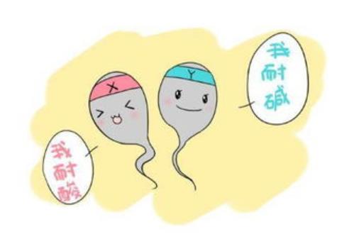 10强酸性水果能生女孩吗 是什么原因？