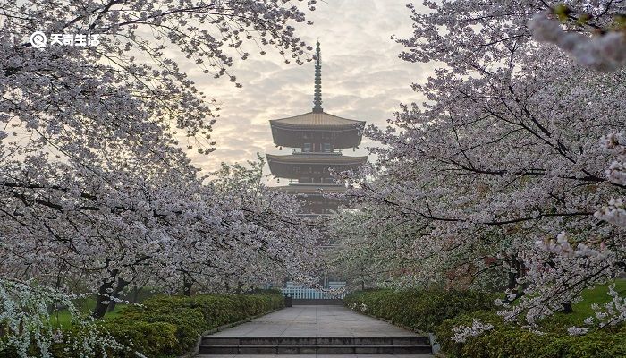 湖州市春季赏花去哪里 推荐湖州市春季赏花好去处 