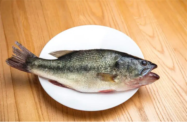 鲈鱼的营养价值高吗 食用鲈鱼会对身体产生危害吗 