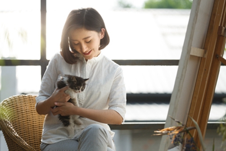 宠物猫手贱爪痒爱破坏？究其原因无外乎这4个原因