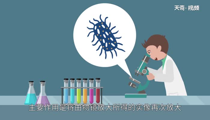 显微镜是凸透镜还是凹透镜 显微镜的目镜和物镜是什么透镜 