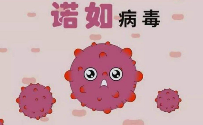 美国一邮轮300多人患病呕吐腹泻 什么原因？ 