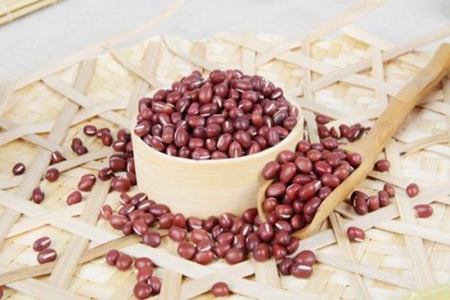 养胃的食物有哪些？常吃这几种食物清除油腻呵护养胃