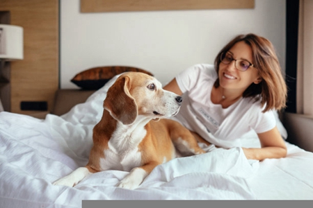 宠物狗犬瘟热怎么治疗?犬瘟热症状治疗法