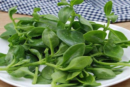 秋季吃什么养生最好？这五个秋季食物滋阴润肺有疗效