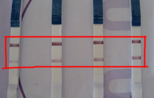 
	强阳后一直弱阳是怀孕的前兆吗 具体怎么看？

