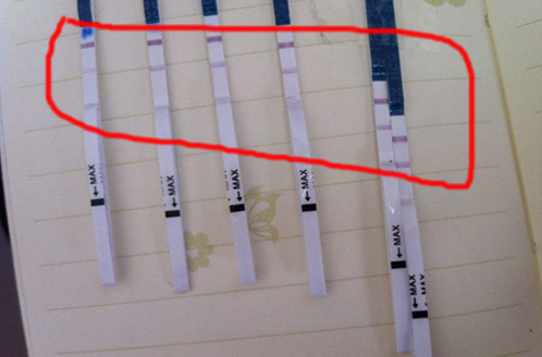 
	强阳后一直弱阳是怀孕的前兆吗 具体怎么看？
