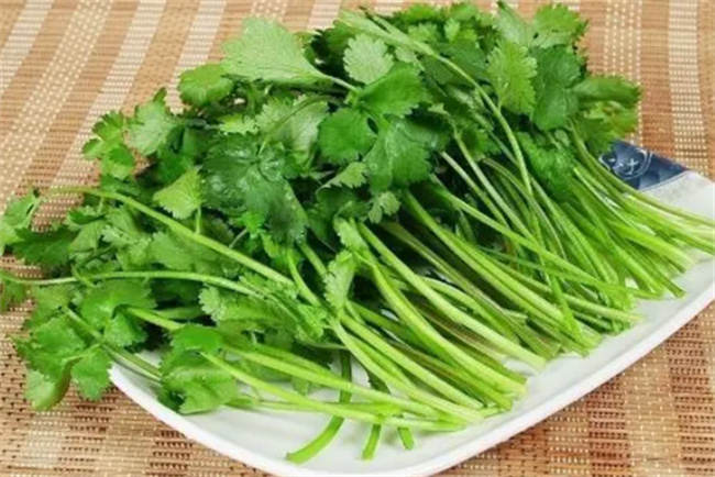 香菜有没有毒素 香菜的营养价值高吗 
