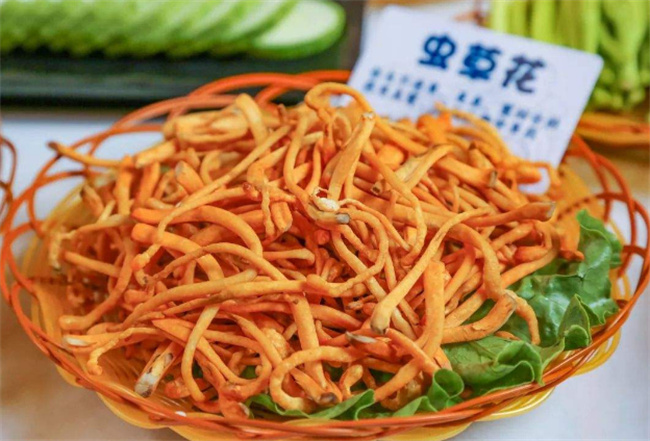 虫草花最好的食用方法 什么人群不宜食用虫草花 