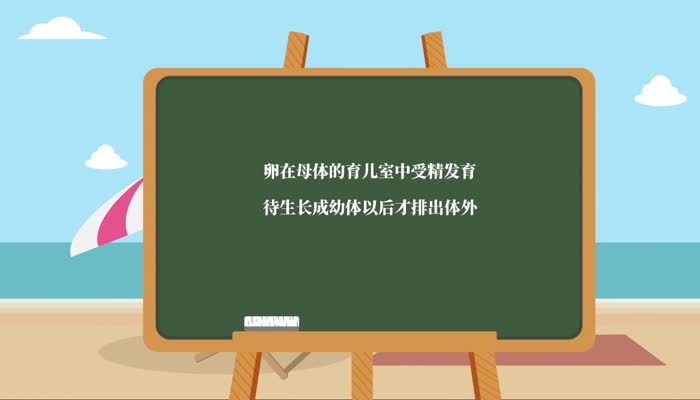 螺蛳是胎生还是卵生  螺蛳是胎生还是卵生 