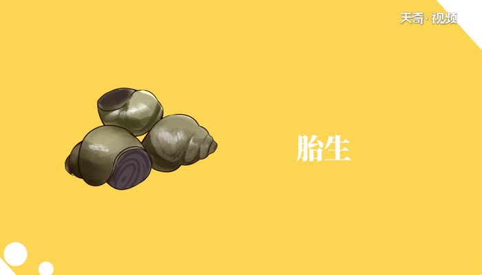 螺蛳是胎生还是卵生  螺蛳是胎生还是卵生 