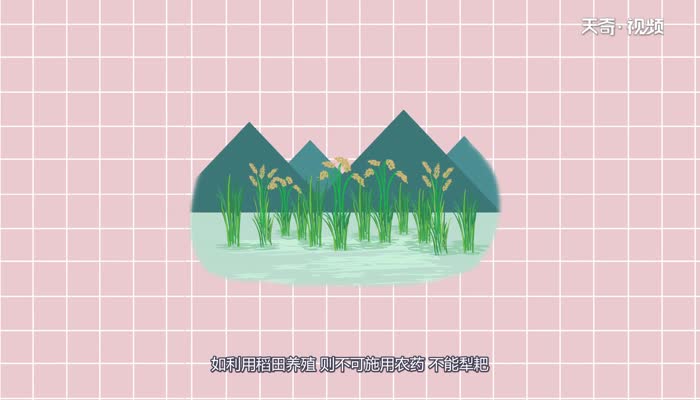 螺蛳是胎生还是卵生  螺蛳是胎生还是卵生 
