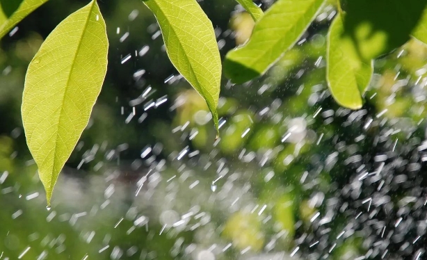 南方多地强降雨 这是否意味着汛期提前？ 