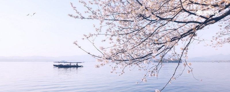 钱塘湖春行描写了西湖什么季节 钱塘湖春行描绘了什么景象 