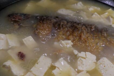 鲫鱼汤怎么炖好喝又营养？鲫鱼豆腐汤的做法窍门