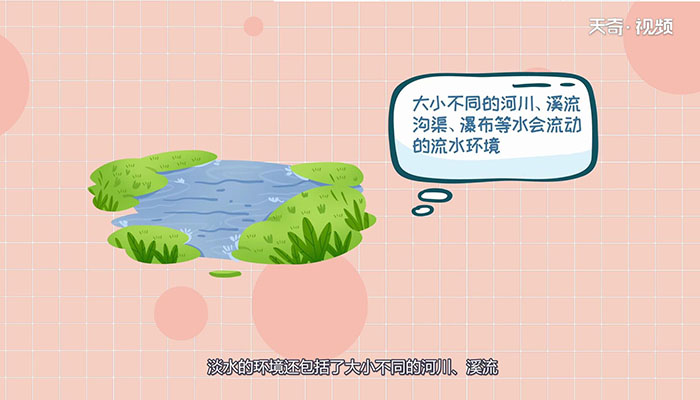 螺蛳是淡水还是海水  螺蛳是淡水还是海水 