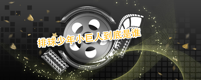 排球少年小巨人到底是谁 排球少年小巨人介绍 