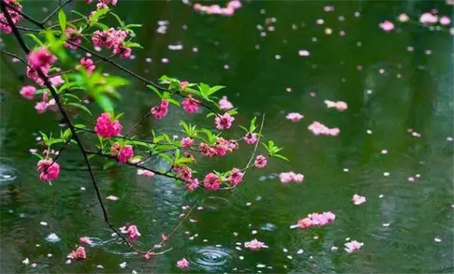 暮春时节是什么时候 暮春时节为什么会冷 