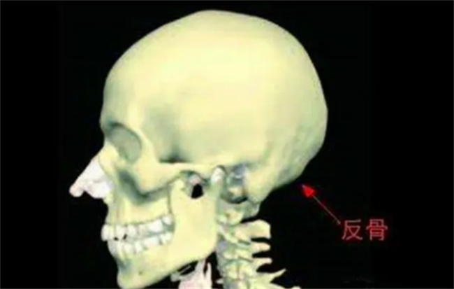 诸葛亮诚不欺我 原来真的有“反骨” 