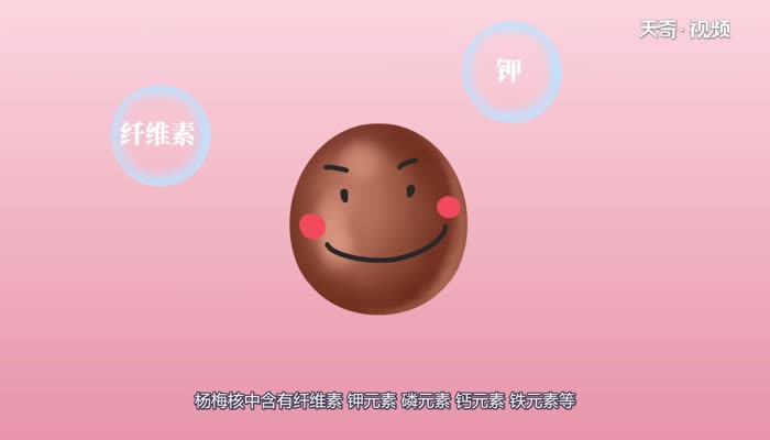 杨梅有核吗  杨梅有没有核呢 