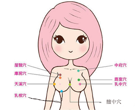 女人胸部穴位位置图，教你丰胸的最佳按摩手法