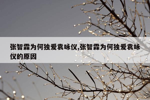 张智霖为何独爱袁咏仪,张智霖为何独爱袁咏仪的原因