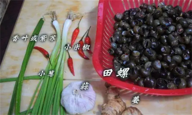 炒螺10人做9人错学会这种做法身边的朋友都能大饱口福 