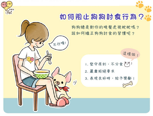 吃饭的时候遇到宠物狗狗乞食如何调教