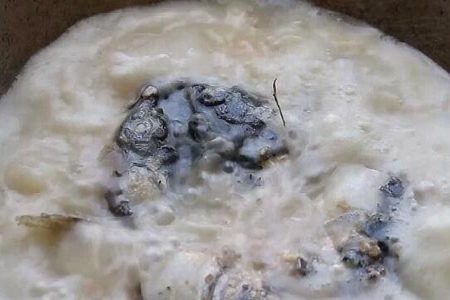 鱼头汤怎么做又浓又白？鱼头汤的做法最正宗的做法