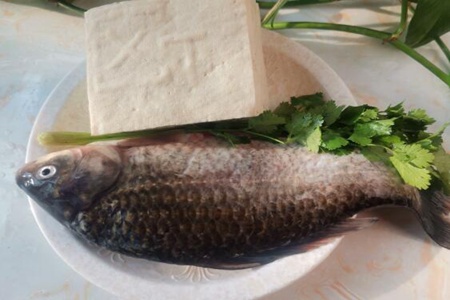 鲫鱼豆腐汤怎么做好吃，鲫鱼豆腐汤的做法窍门
