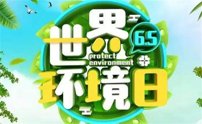 中国环境日是哪年开始实施的？ 
