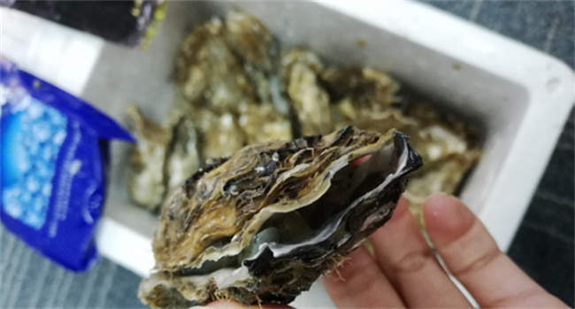 ​生蚝如何储存保鲜时间长（生蚝暂时不吃如何保存） 