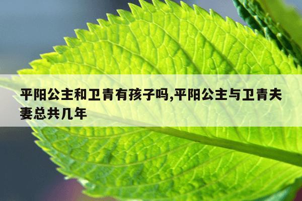 平阳公主和卫青有孩子吗,平阳公主与卫青夫妻总共几年