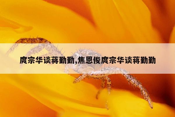 庹宗华谈蒋勤勤,焦恩俊庹宗华谈蒋勤勤