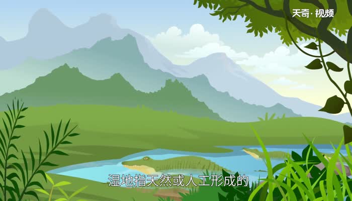 湿地又被称为 湿地又名什么 