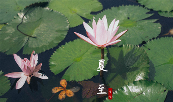 今年夏至节气是哪一天 什么是夏至节 