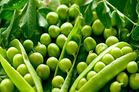 素食有哪些？这几种常见素食帮你远离肥胖