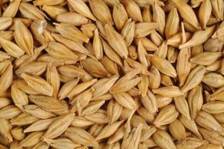 减肥主食吃什么比较好？这三个主食女人减肥最快的方法