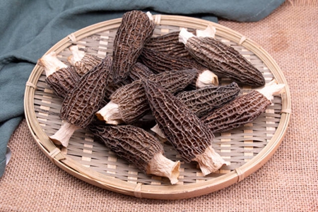 素食有哪些？这几种常见素食帮你远离肥胖