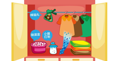 衣服防霉可以用竹炭吗？什么可以防霉除湿5大对策