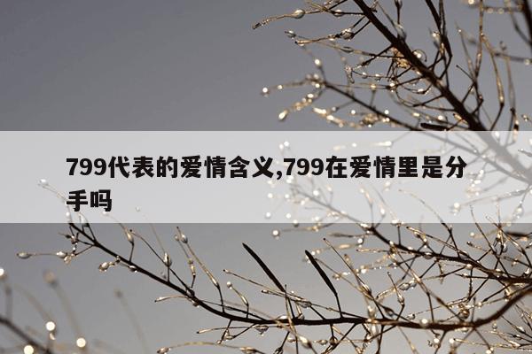 799代表的爱情含义,799在爱情里是分手吗