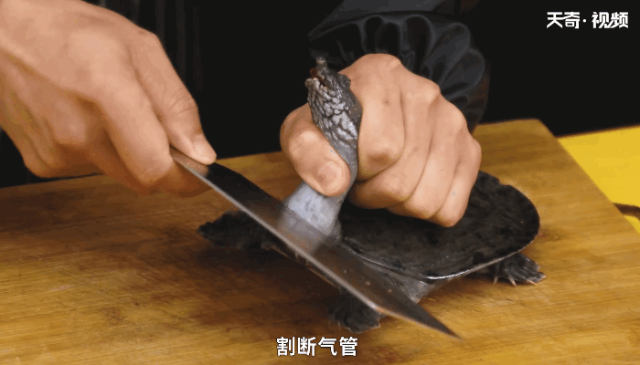 怎么正确杀甲鱼，怎样正确杀甲鱼 