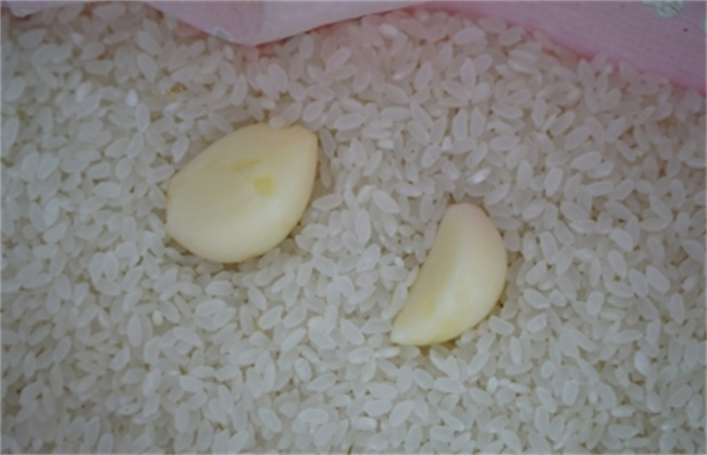 去米虫的妙招有哪些 防止米虫有哪些方法 