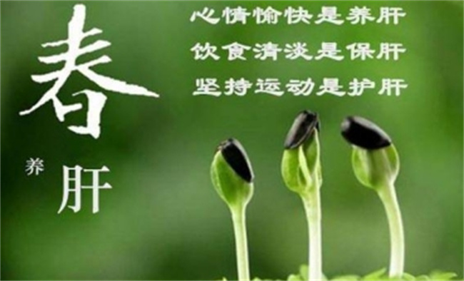 清明养生注意事项有哪些 清明养生吃什么 