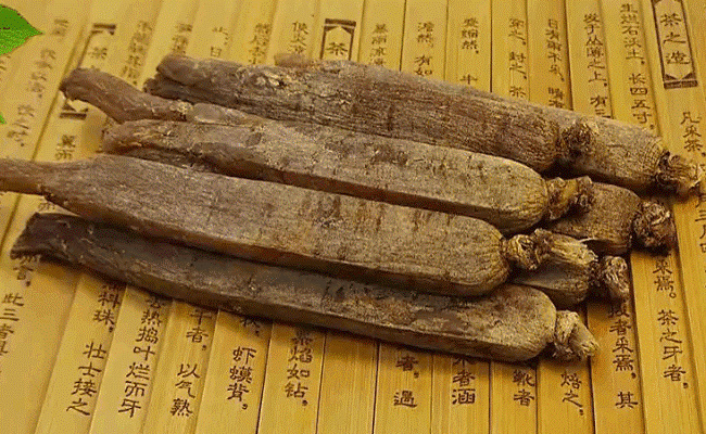 高丽参的功效、作用、食用办法和禁忌 