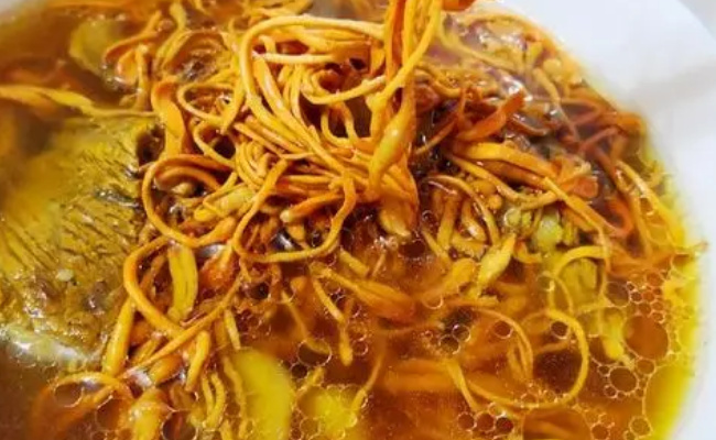 ​虫草花的功效 有哪些食用方法 