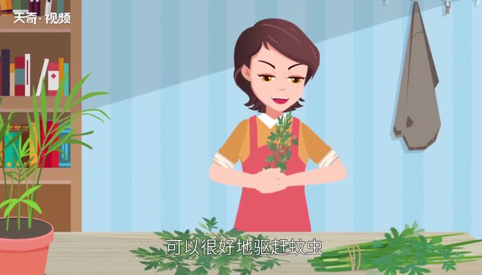 艾草为什么能驱蚊 艾草为什么能驱蚊虫 