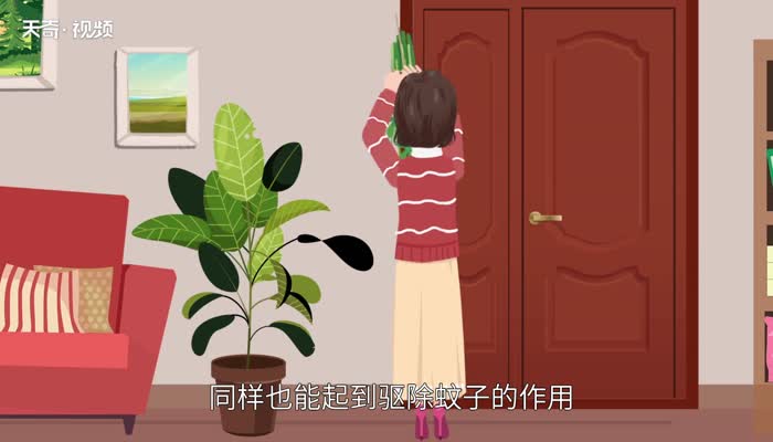 艾草为什么能驱蚊 艾草为什么能驱蚊虫 