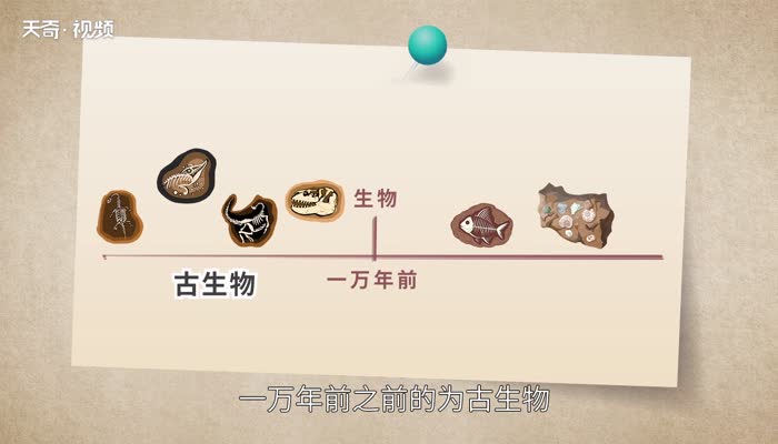 鱼化石是怎样形成的 鱼化石是如何形成的 