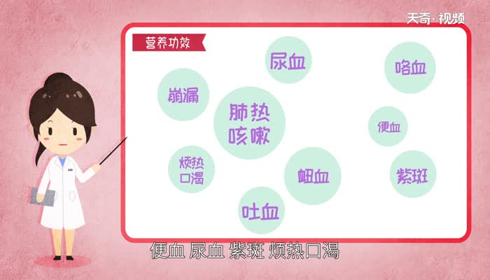柿子叶的功效与作用 柿子叶的营养价值 